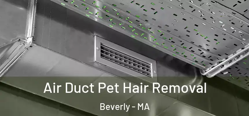 Air Duct Pet Hair Removal Beverly - MA