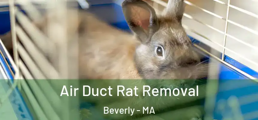  Air Duct Rat Removal Beverly - MA