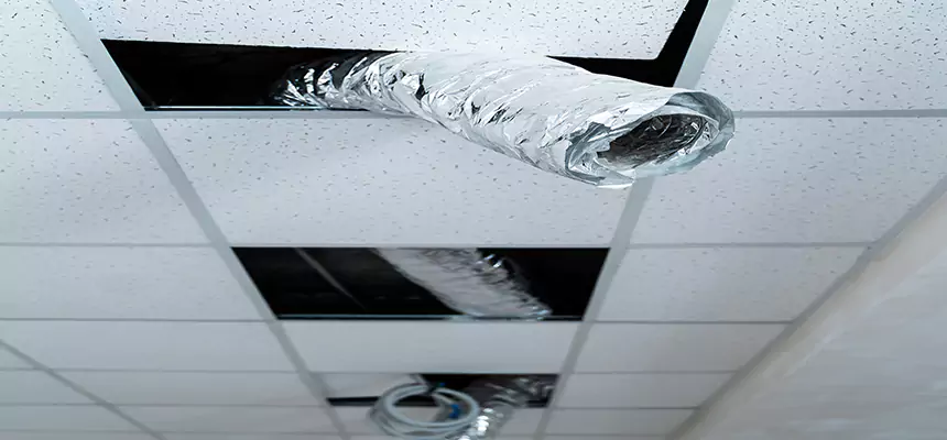 Our Air Duct Pet Hair Removal Services in Beverly, MA