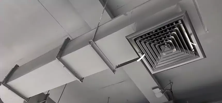 Our Pest Removal From Ducts Services in Beverly, MA