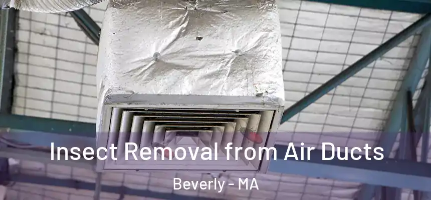 Insect Removal from Air Ducts Beverly - MA