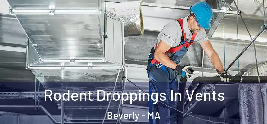  Rodent Droppings In Vents Beverly - MA