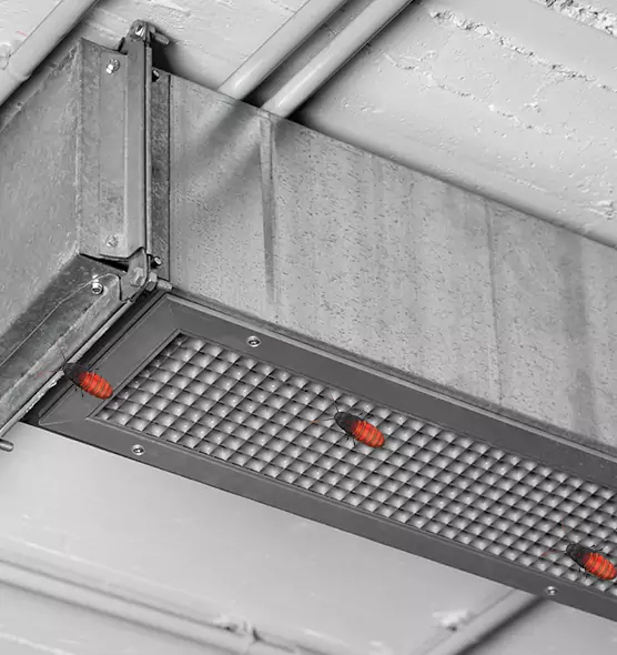 About Air Duct Cockroach Removal in Beverly, MA
