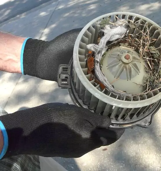 About Air Duct Rat Removal in Beverly, MA