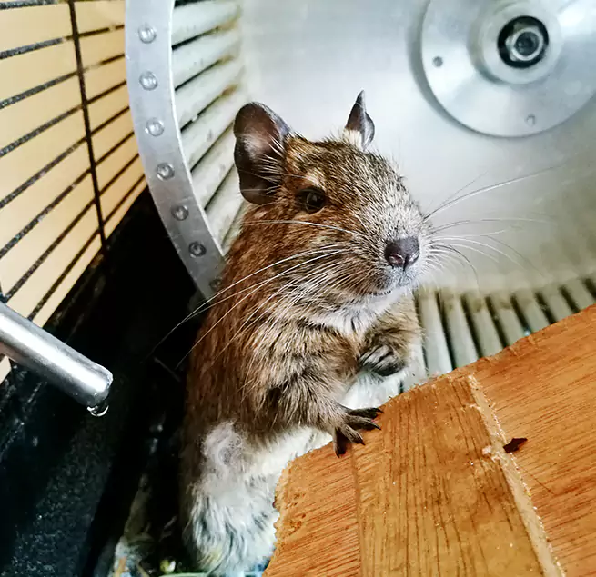 Why Homeowners & Businesses Trust Us Beverly, MA?