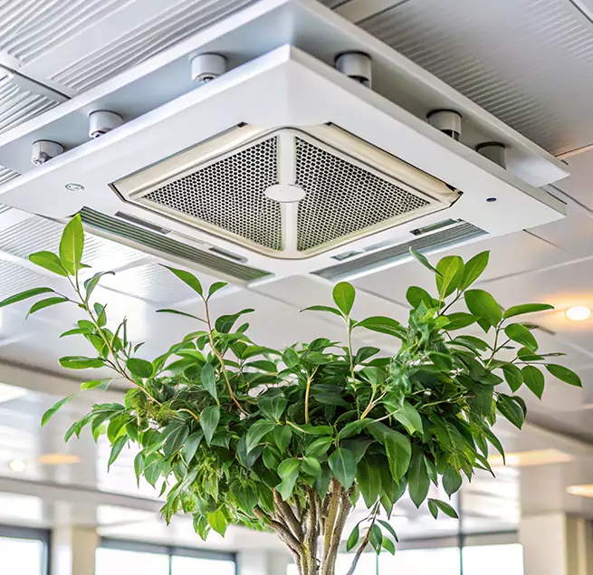 Why Homeowners & Businesses Trust Us in Beverly, MA?