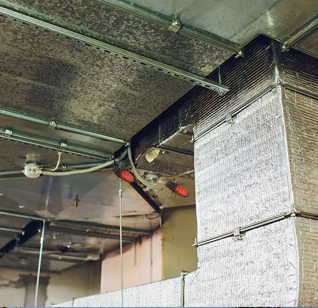 Why Homeowners & Businesses Trust Us Beverly, MA?