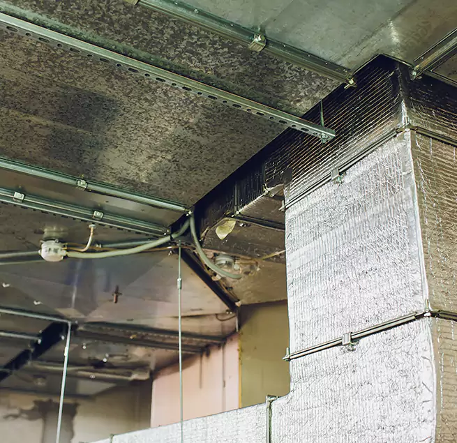 Why Homeowners & Businesses Trust Us in Beverly, MA?